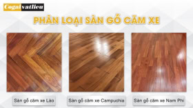 Sàn gỗ Căm Xe